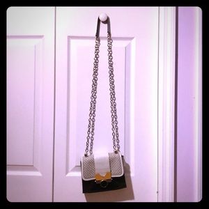 Over the shoulder Chain purse